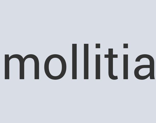 Ergonomic Aluminum Portality