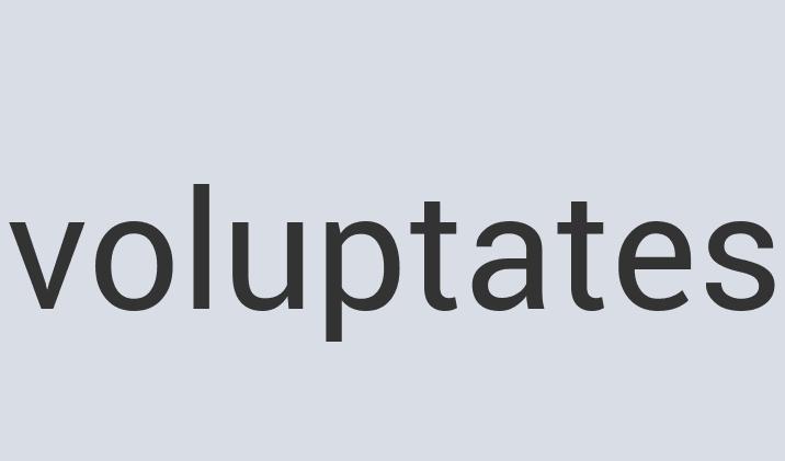 Aerodynamic Leather Booster Cake