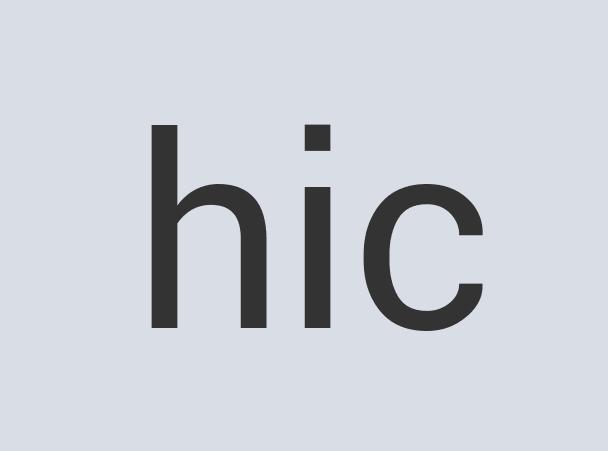 Fantastic Aluminum Freudian Slippers